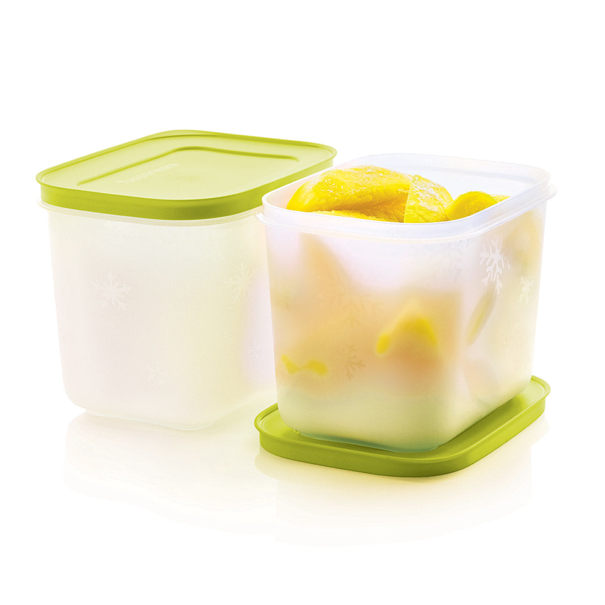Freezer Mates® Plus | Starter Set