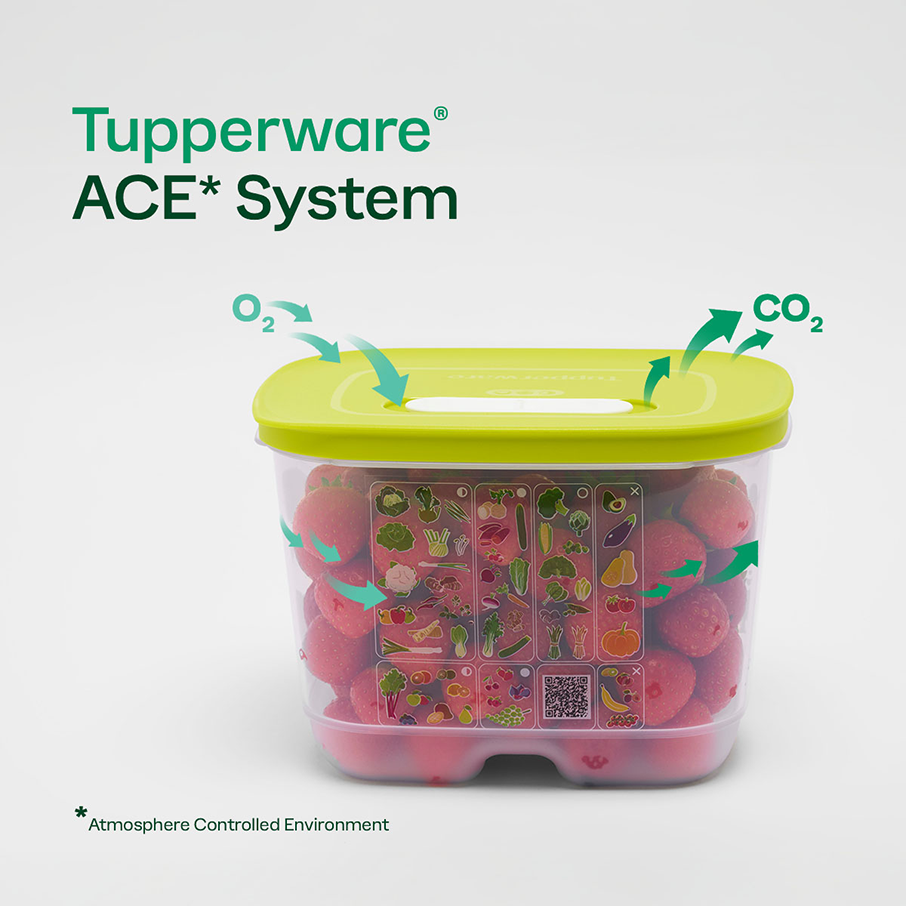 Tupperware® FridgeSmart® Small Deep | Produce Storage Container With Lid
