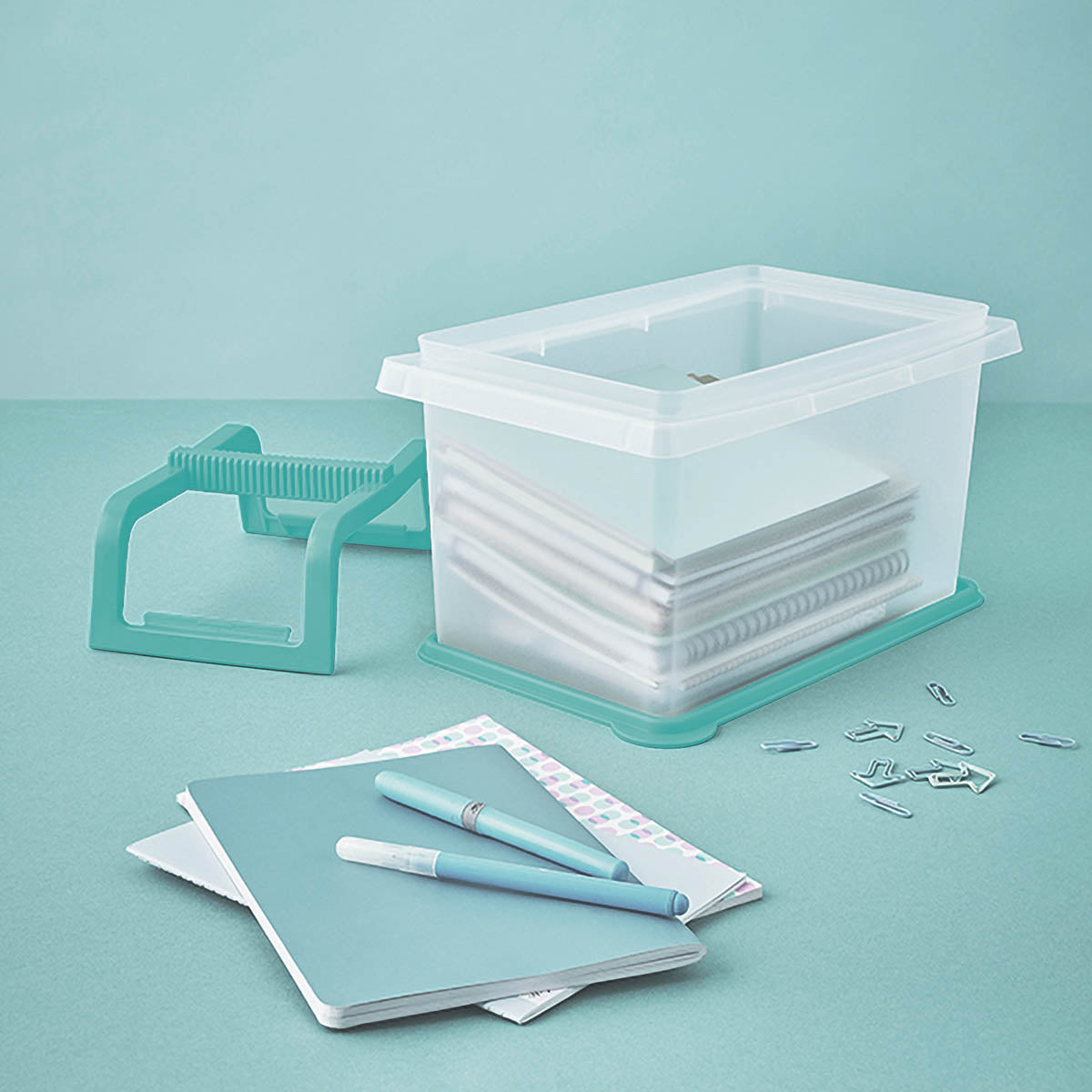 Large and Small Carry-all® Containers (Mint Ice Cream)