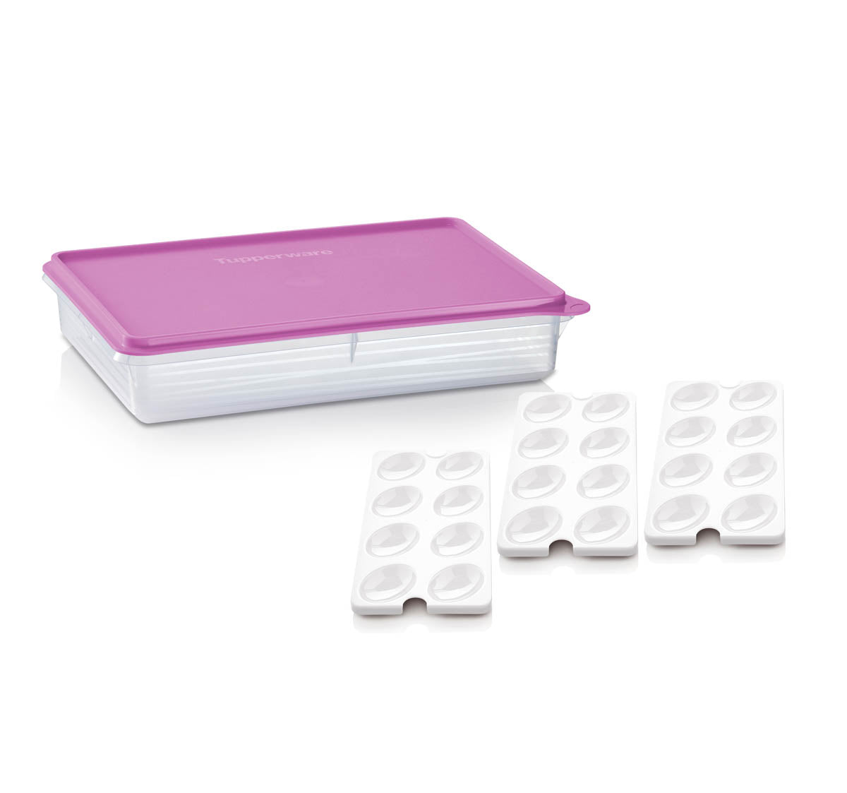 Tupperware® Snack-Stor® Large Storage Container with 3 Egg Tray Inserts